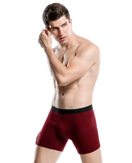 Men's Underwear Cotton Plus Size Men's Boxer Briefs / Boxer Underwear